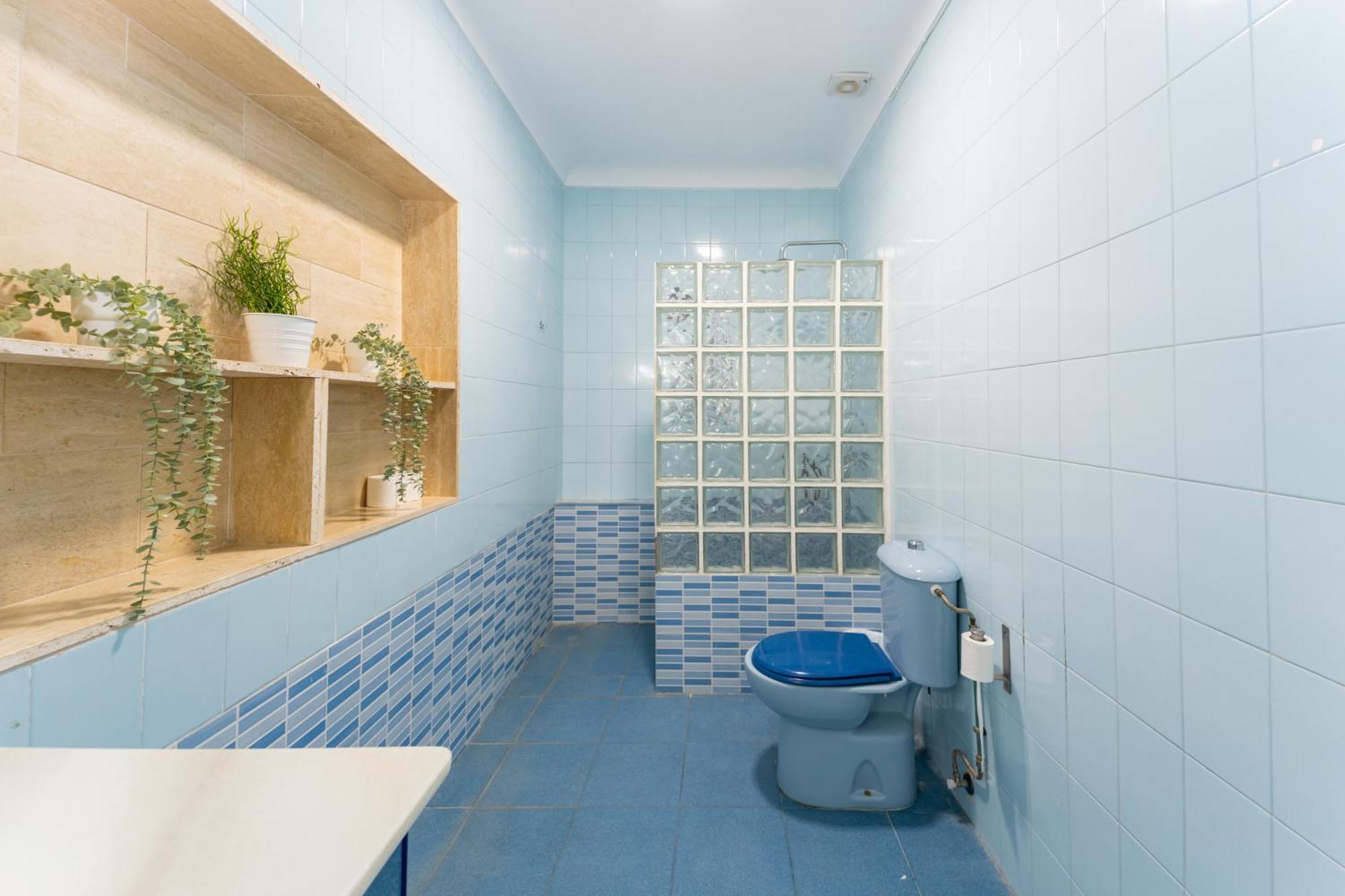 Privado Rural Barbate